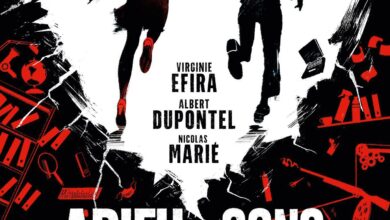 Affiche du film Adieu les cons